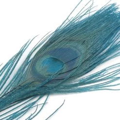 Spirit River Iridescent Dyed Peacock Feathers