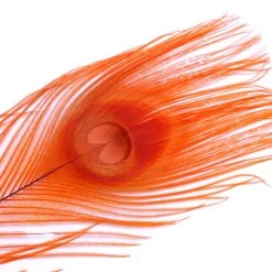 Spirit River Iridescent Dyed Peacock Feathers