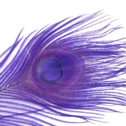 Spirit River Iridescent Dyed Peacock Feathers