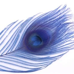 Spirit River Iridescent Dyed Peacock Feathers