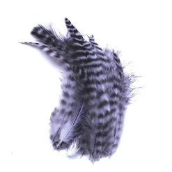 Spirit River Feathers UV2 Grizzly Soft Hackle