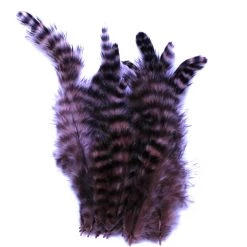 Spirit River Feathers UV2 Grizzly Soft Hackle