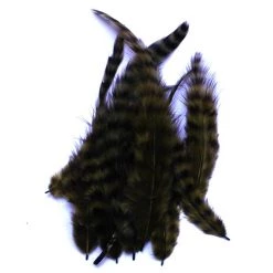 Spirit River Feathers UV2 Grizzly Soft Hackle