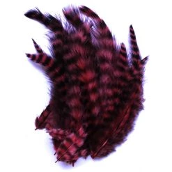 Spirit River Feathers UV2 Grizzly Soft Hackle