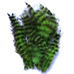 Spirit River Feathers UV2 Grizzly Soft Hackle