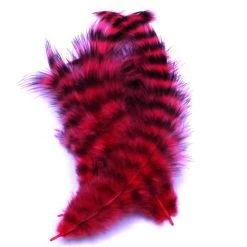 Spirit River Feathers UV2 Grizzly Soft Hackle