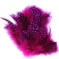 Spirit River UV2 Large Eyed Guinea Feathers