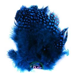 Spirit River UV2 Large Eyed Guinea Feathers
