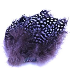 Spirit River UV2 Large Eyed Guinea Feathers