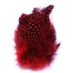 Spirit River UV2 Large Eyed Guinea Feathers