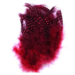 Spirit River UV2 Large Eyed Guinea Feathers