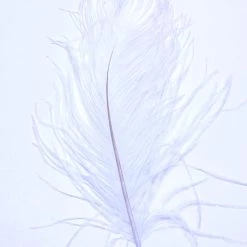 Spirit River UV2 Ostrich Plume Feathers