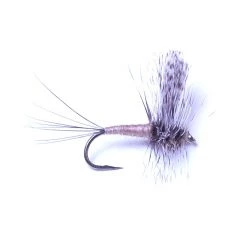 Deschutes Angler Thorax Callibaetis